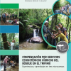 Compensación por servicios ecosistémicos hídricos del bosque en el trifinio